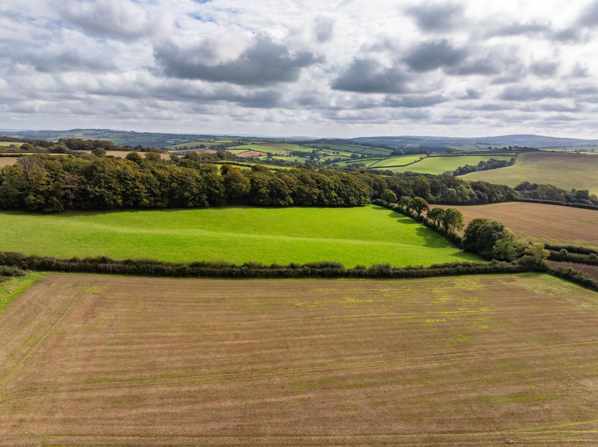 47.28  Country Estate, Hurdon Farm, Launceston, PL15 - Available, Image 24