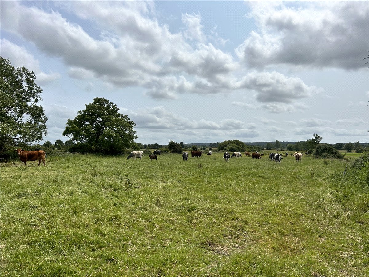 11.95  Land, Street Drove, Street, BA16 - Sold STC