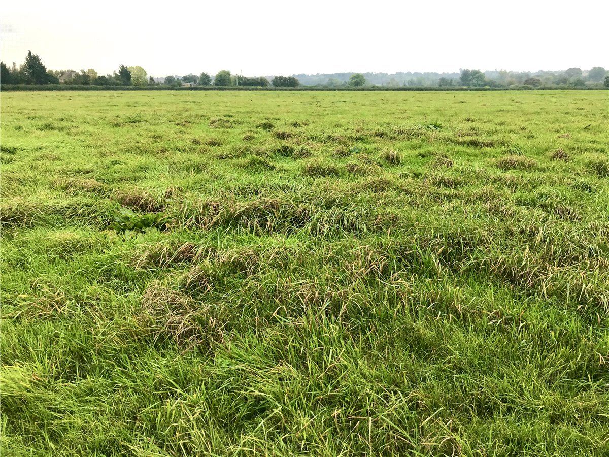11.75  Land, Land at South Wraxall, Bradford-On-Avon, BA15 - Sold