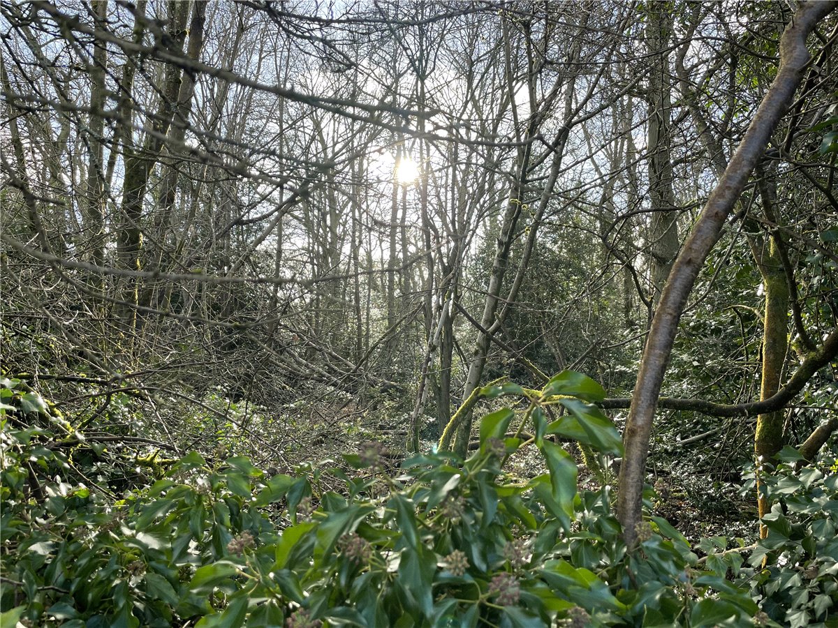 1.2  Land, Greenham, , RG14 - Sold, Image 1