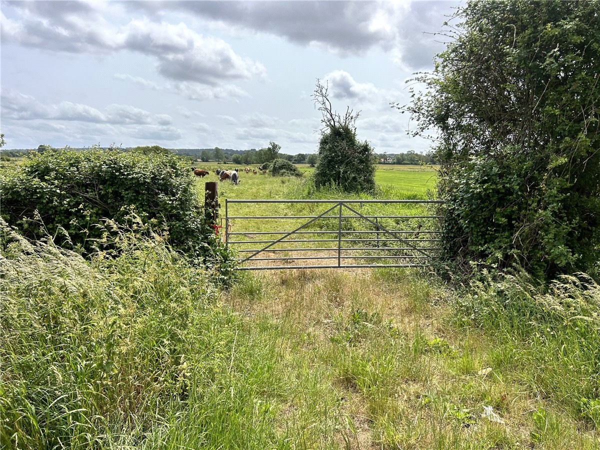 11.95  Land, Street Drove, Street, BA16 - Sold STC, Image 3