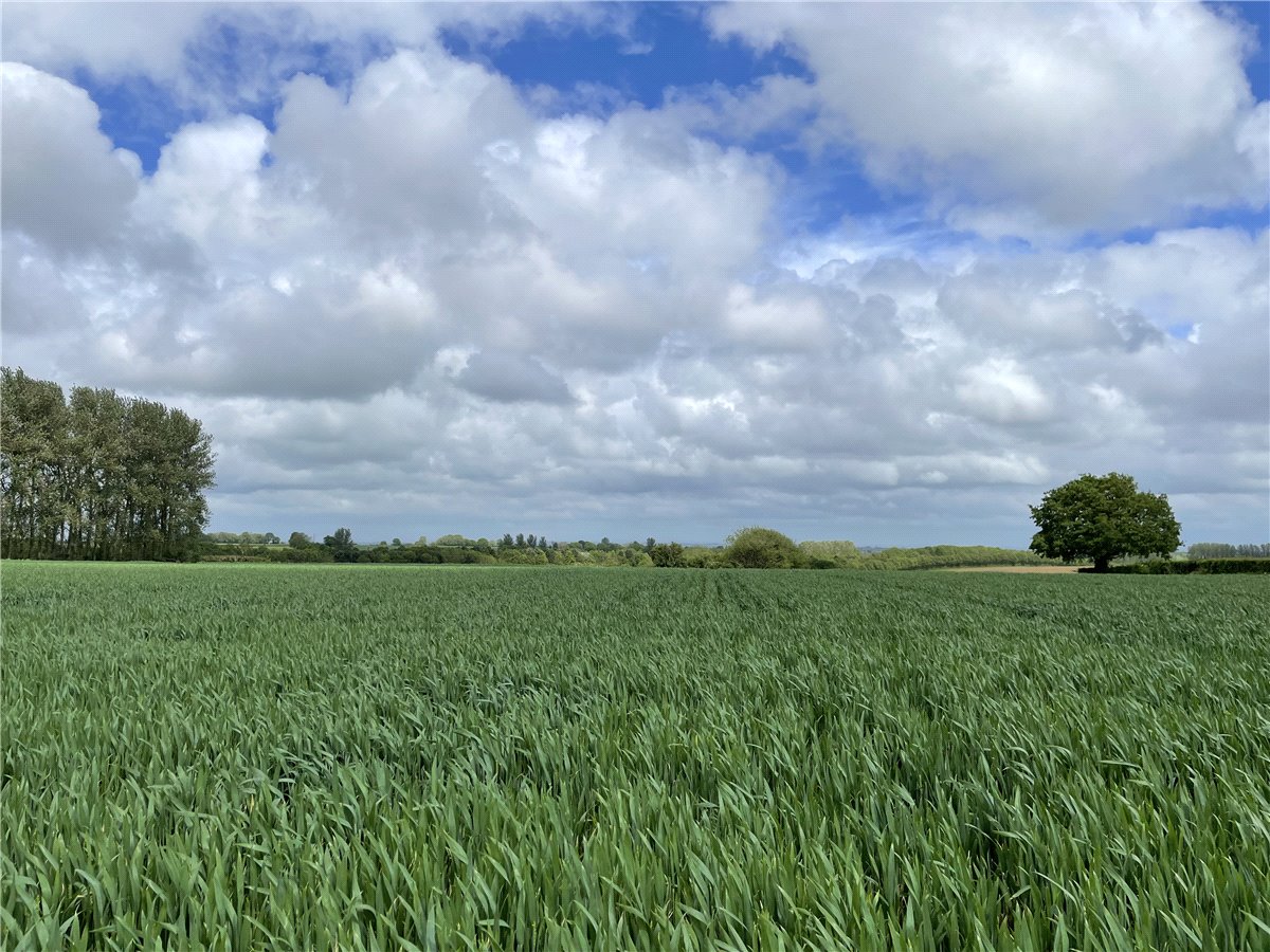 5.96  Land, Land At Seavington St. Michael, Somerset, TA13 - Sold