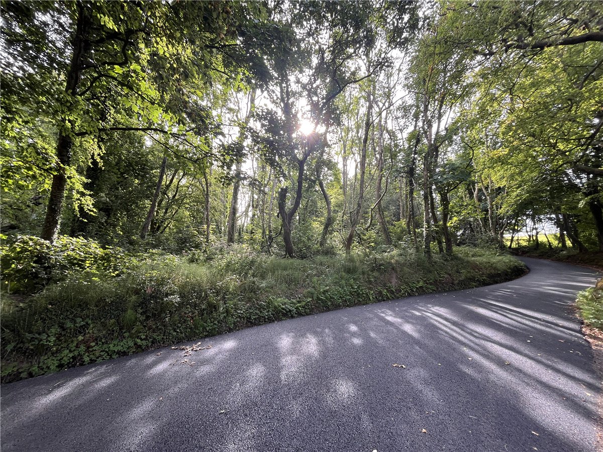 36.69  Land, Boduan, Pwllheli, LL53 - Available, Image 7