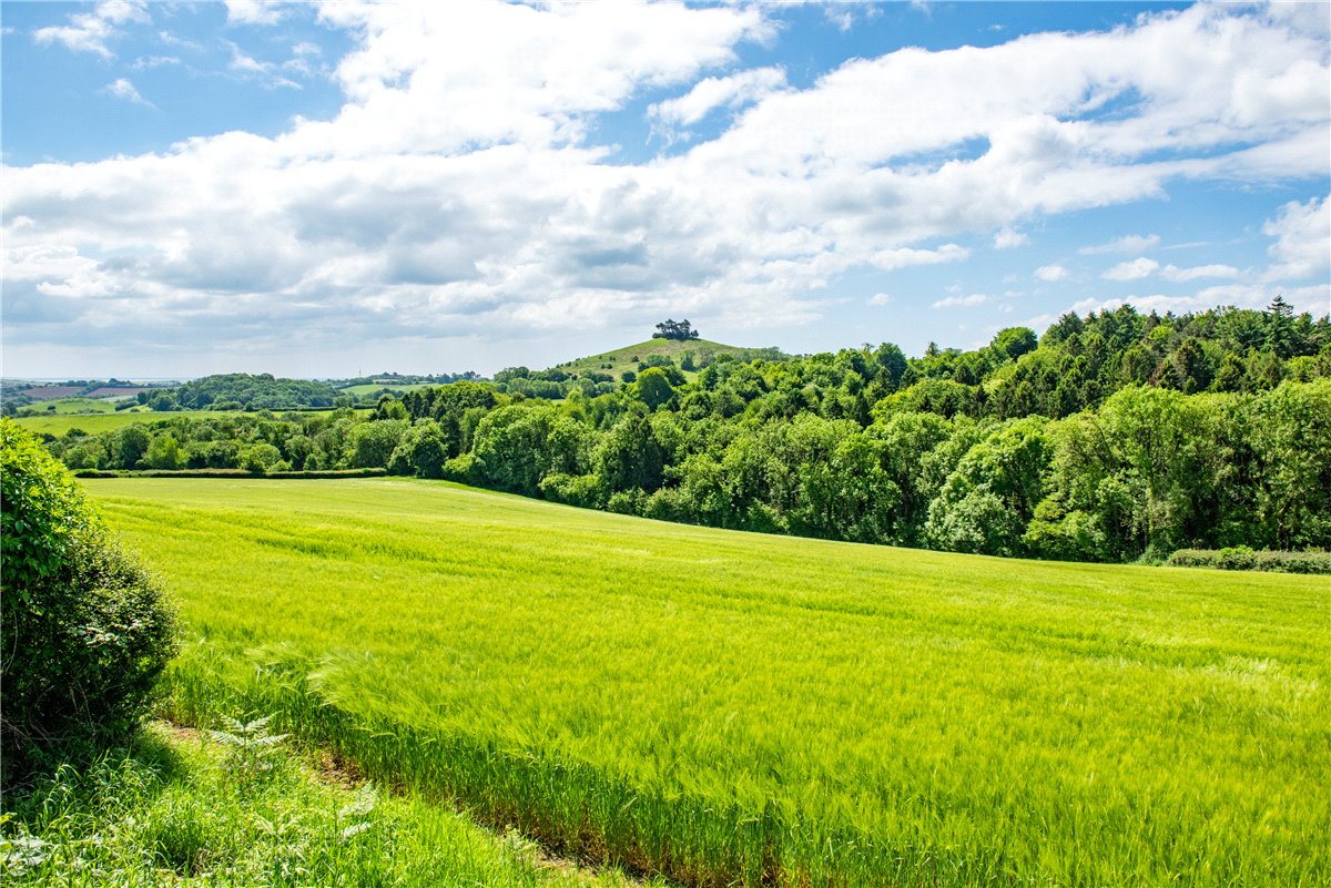 518  Farm, Dottery, Bridport, DT6 - Sold, Image 11