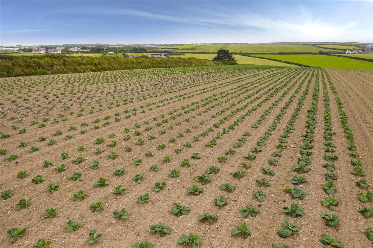 99.94  Land, St. Eval, Wadebridge, PL27 - Sold, Image 5