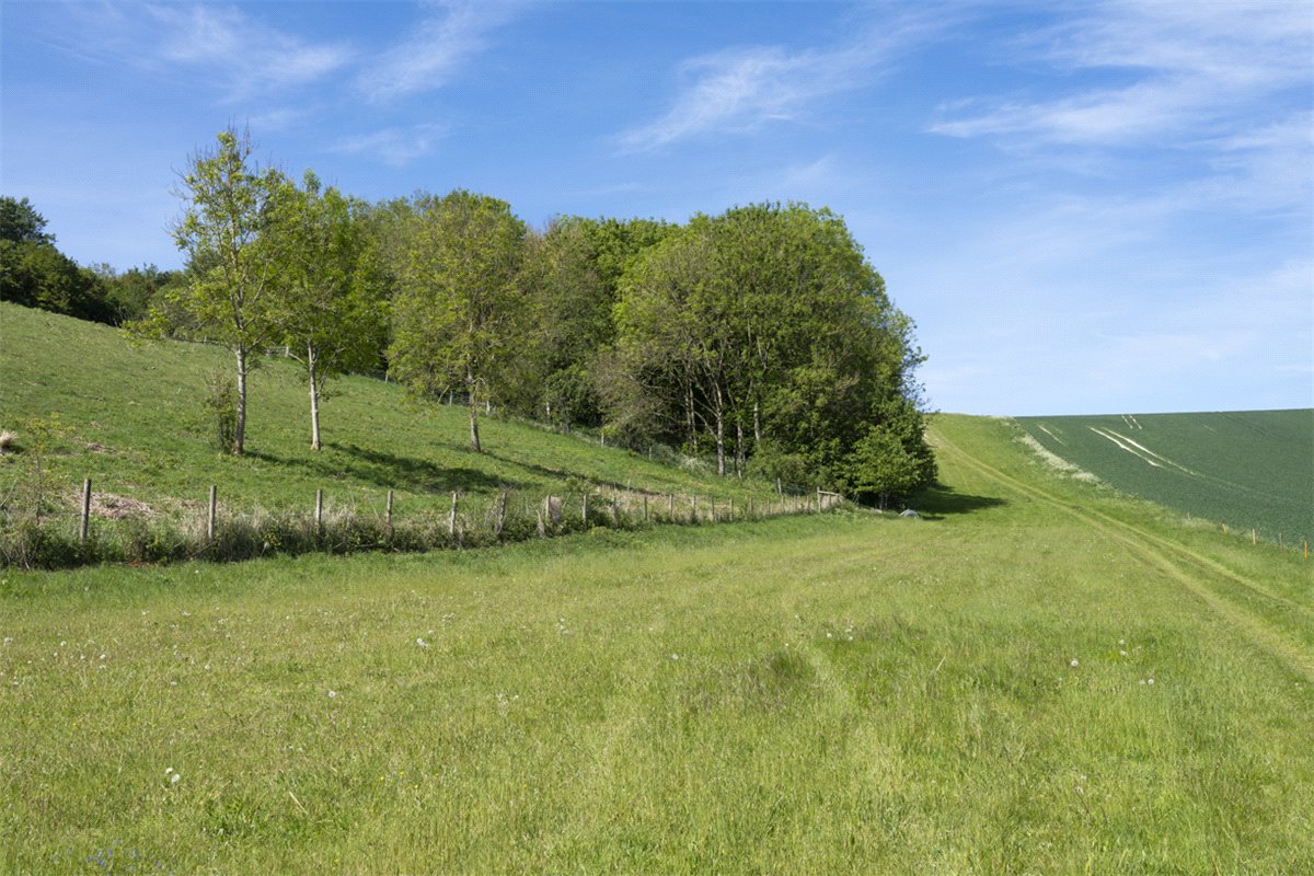 482.71  Farm, Collingbourne Kingston, Marlborough, SN8 - Sold, Image 7