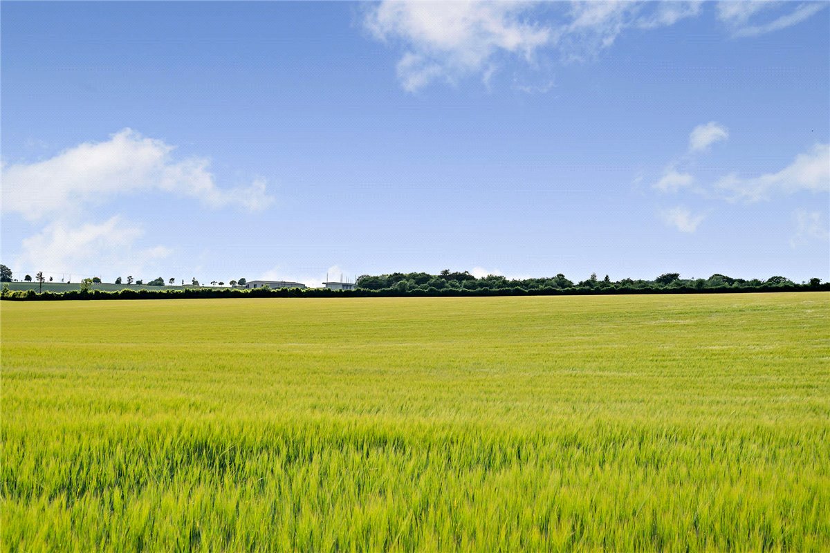 156.06  Land, Leckhampstead, Newbury, RG20 - Sold, Image 1
