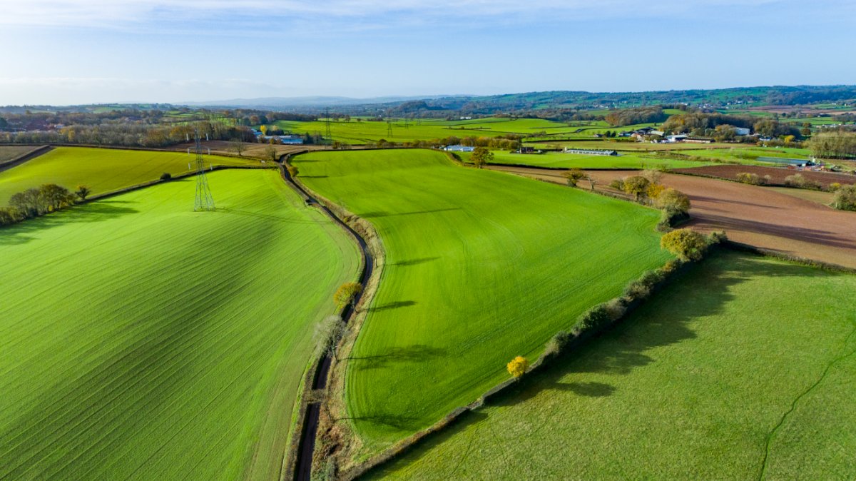 12.13  Land, Lot 3: Land At Butsons Farm, Greenham, TA21 - Sold