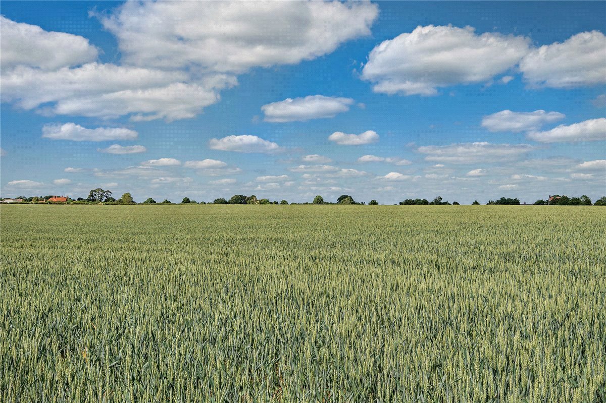 99.96 Sq Ft Farm, Leckhampstead, Newbury, RG20 - Sold, Image 12