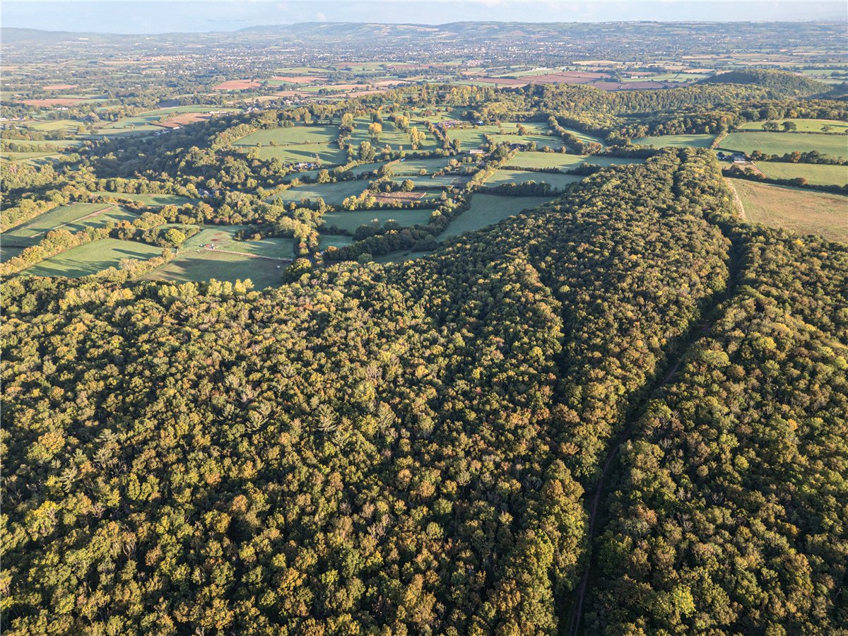 25.49  Land, Blake's Copse and Whitford Copse, Corfe, TA3 - Sold STC, Image 3