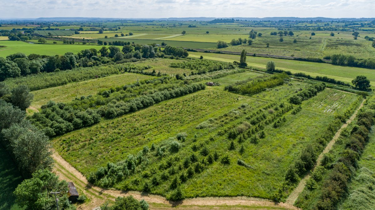 4 bedroom House, Charlton Road, Creech St. Michael, TA3 - Sold, Image 16