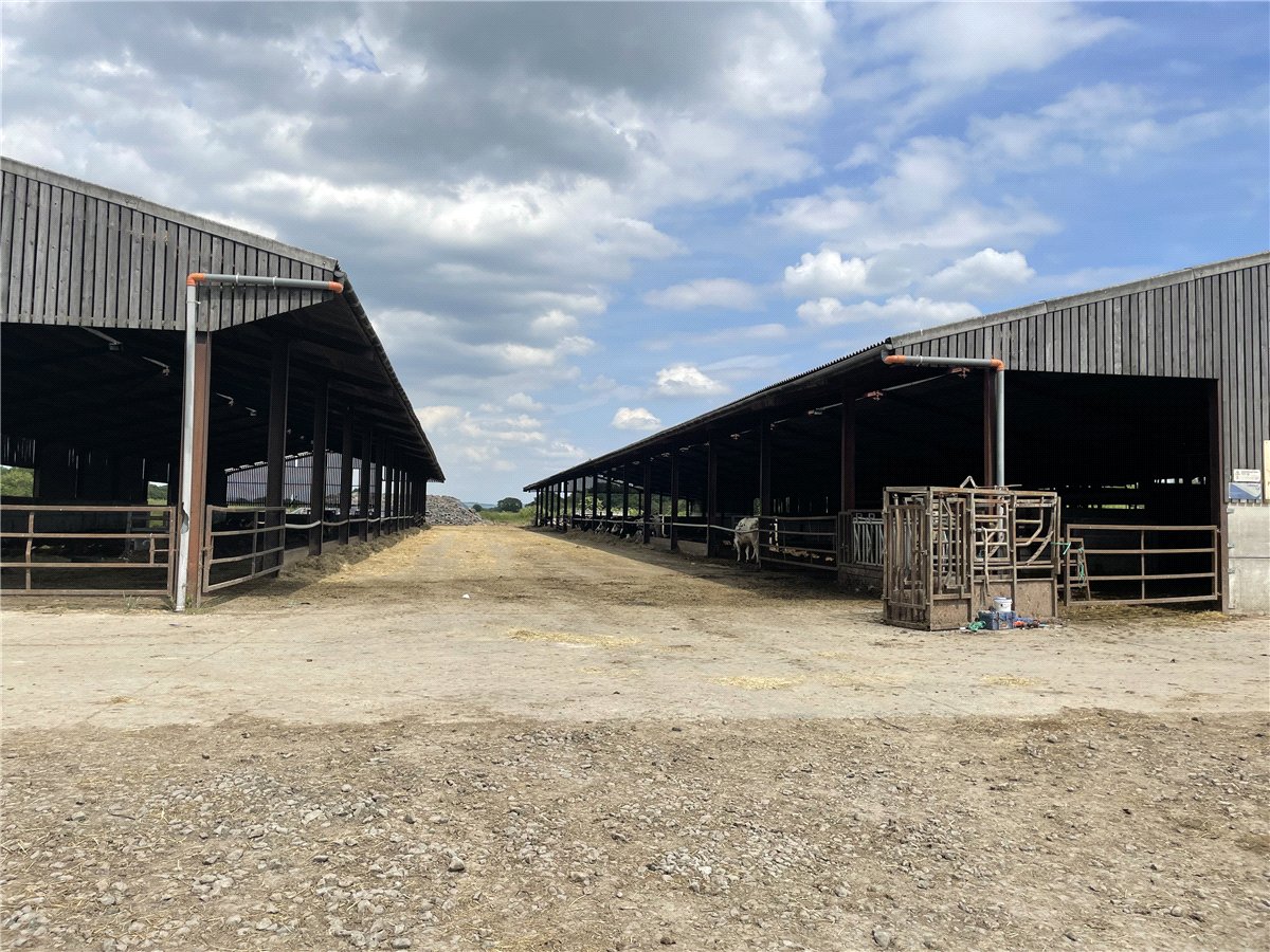   Land, Land At Ellerton & East Cottingwith, York, YO42 - Available, Image 11