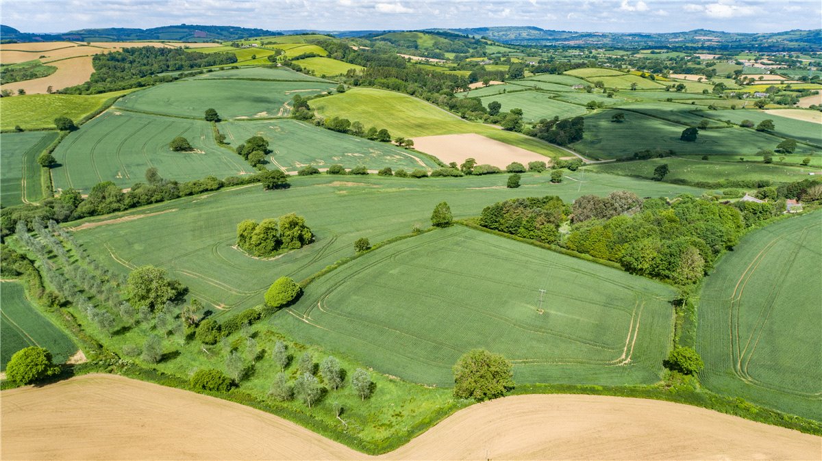 518  Farm, Dottery, Bridport, DT6 - Sold, Image 16