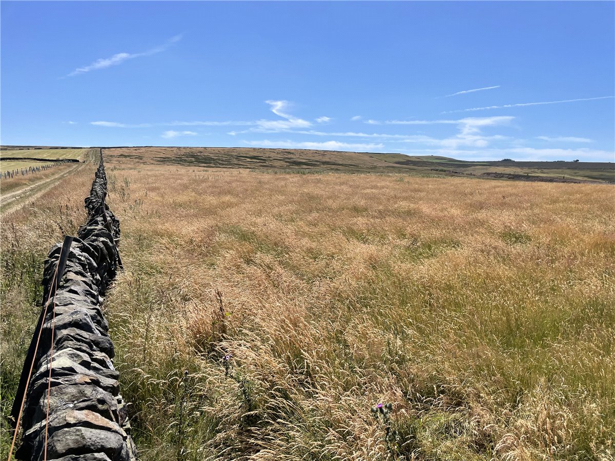 51.68  Land, Ughill, Bradfield, S6 - Sold, Image 4