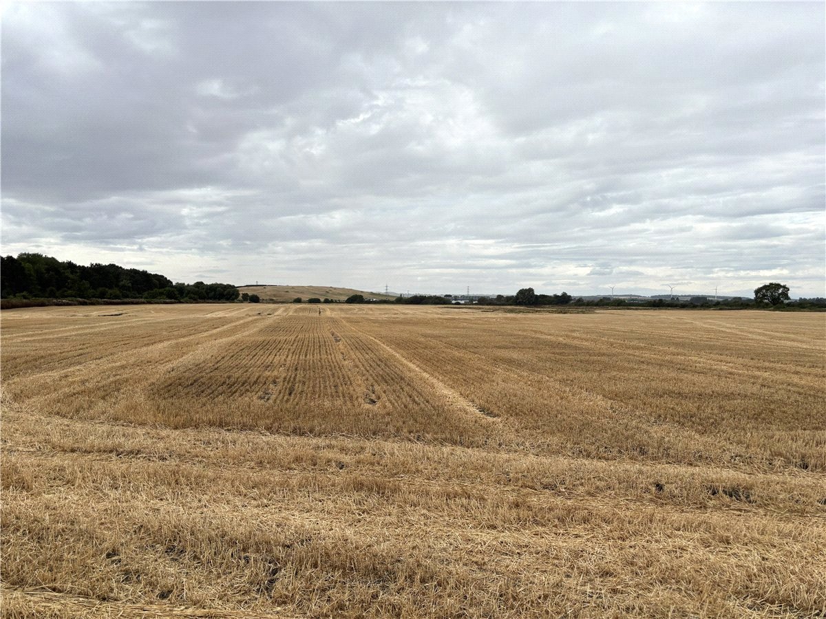  Land, Lot 1 - Land At Owston, Doncaster, DN5 - Available