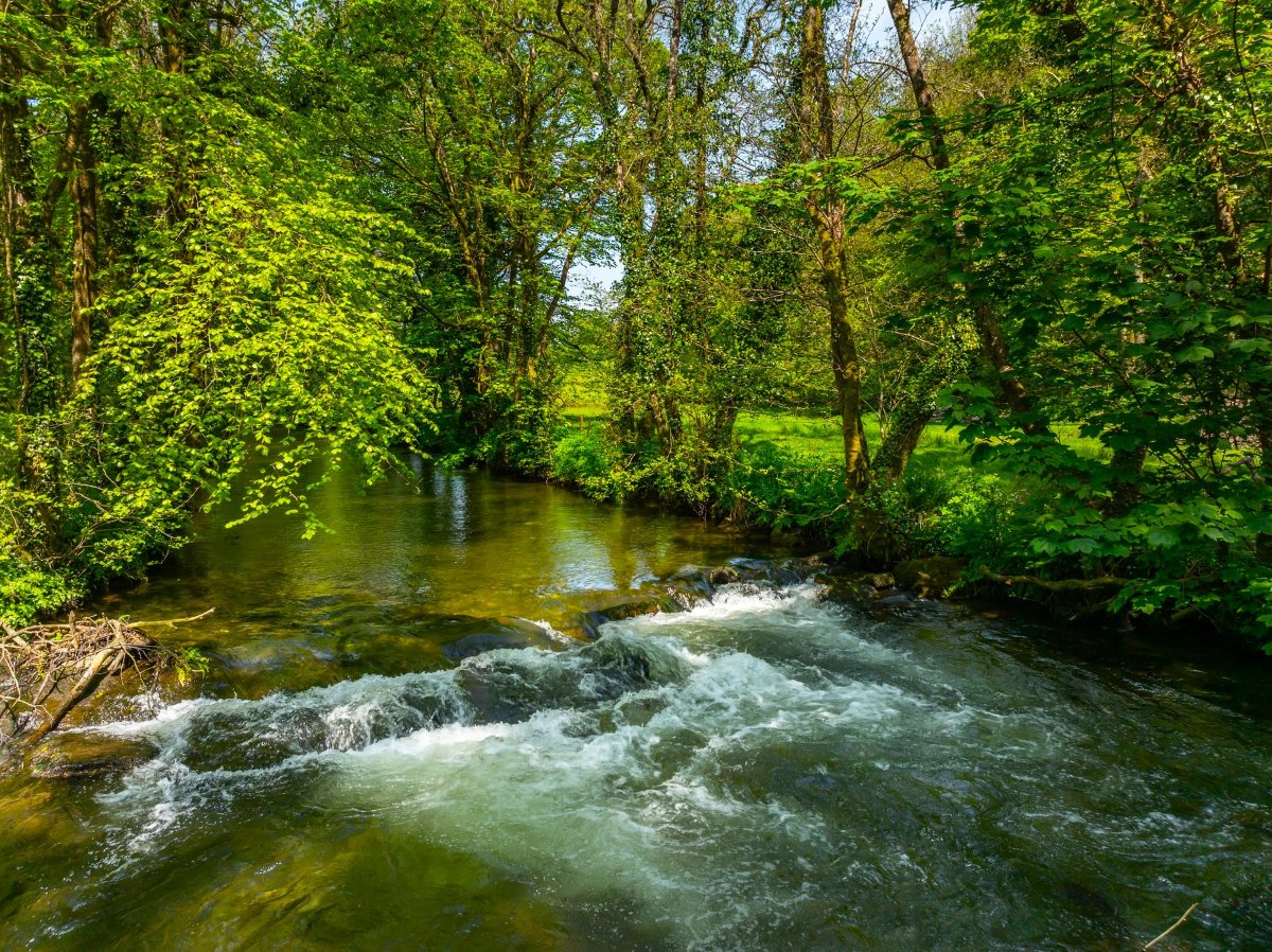 45.57  Farm, Golberdon, Callington, PL17 - Sold, Image 39