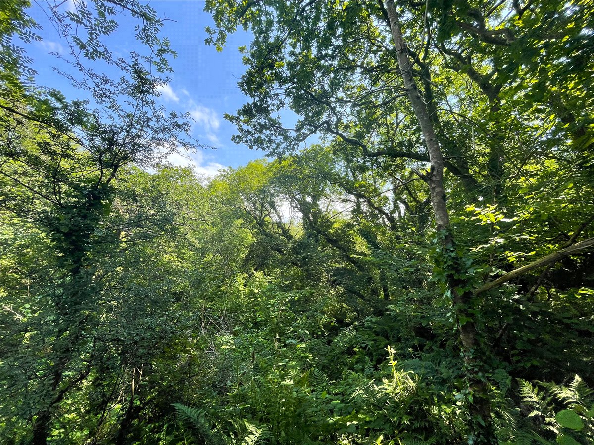 19.42  Land, Morwenstow, Bude, EX23 - Sold, Image 2