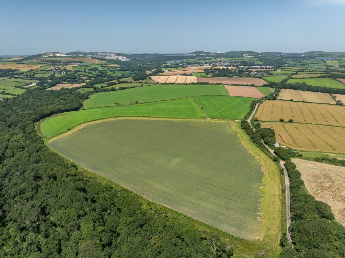 49.79  Land, Land At Resugga Farm, St. Stephen, PL26 - Sold STC