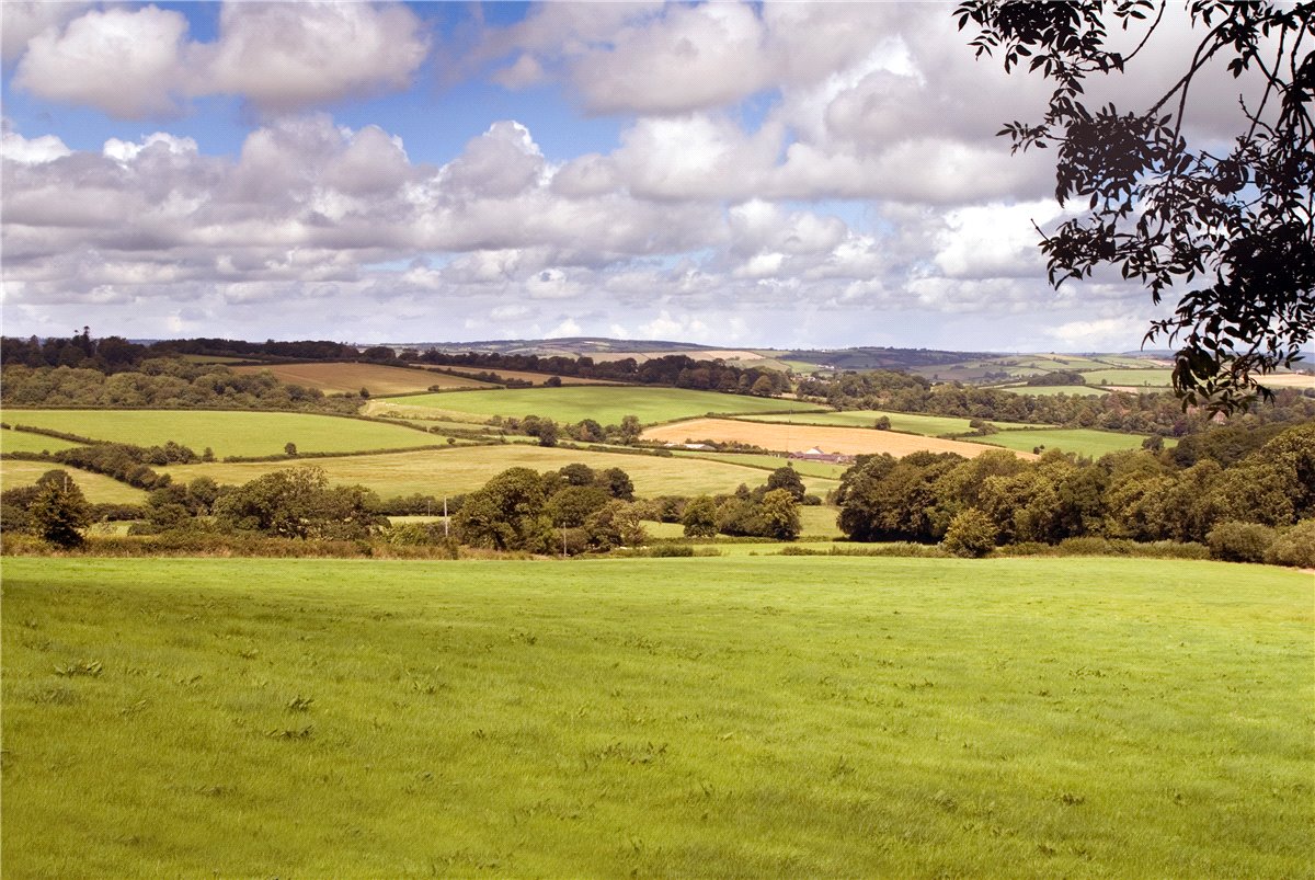 0 bedroom House, Huntsham, Tiverton, EX16 - Available, Image 5