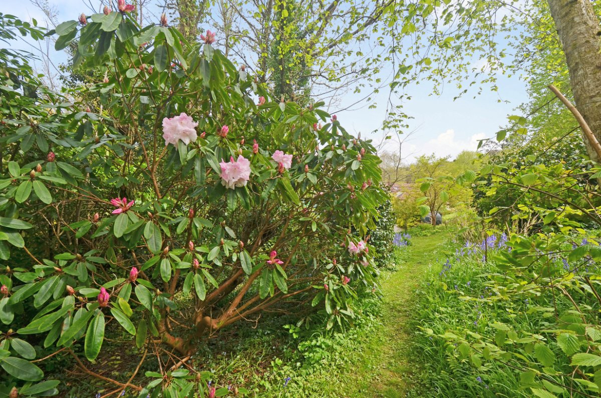 6.83  Land, Hale Mills, Twelveheads, TR4 - Sold STC, Image 19