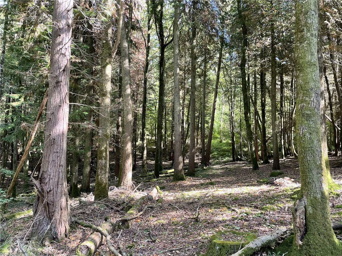 25.49  Land, Blake's Copse and Whitford Copse, Corfe, TA3 - Sold STC, Image 1