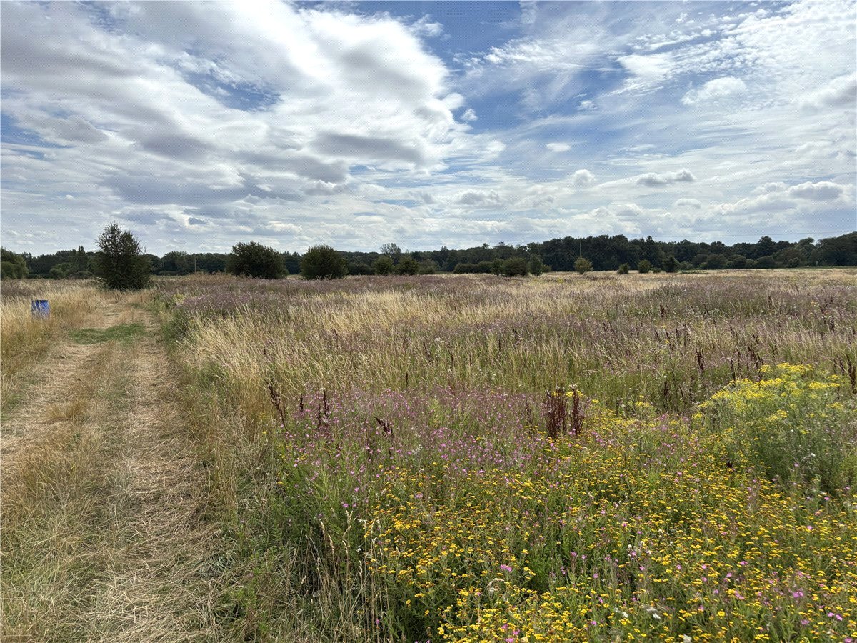   Land, Lot 3 - Land At Owston, Doncaster, DN5 - Available, Image 2