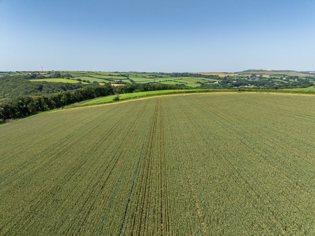 49.79  Land, Land At Resugga Farm, St. Stephen, PL26 - Sold STC, Image 1