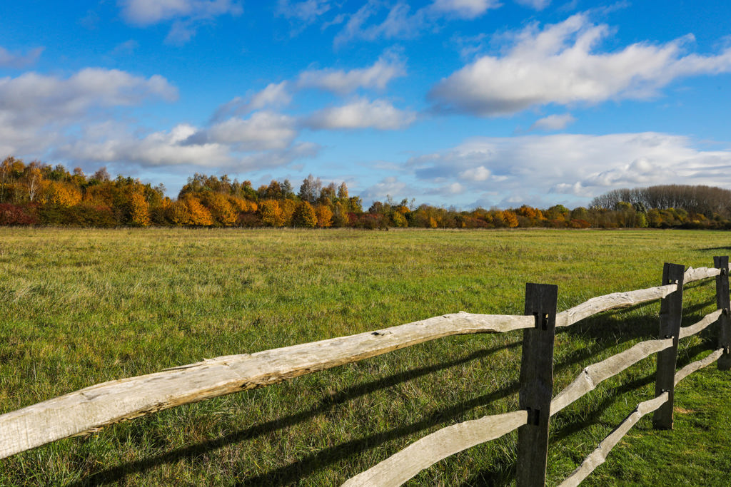 4623 Sq Ft, The Farmhouse, Steventon, OX13 - Under Offer, Image 5