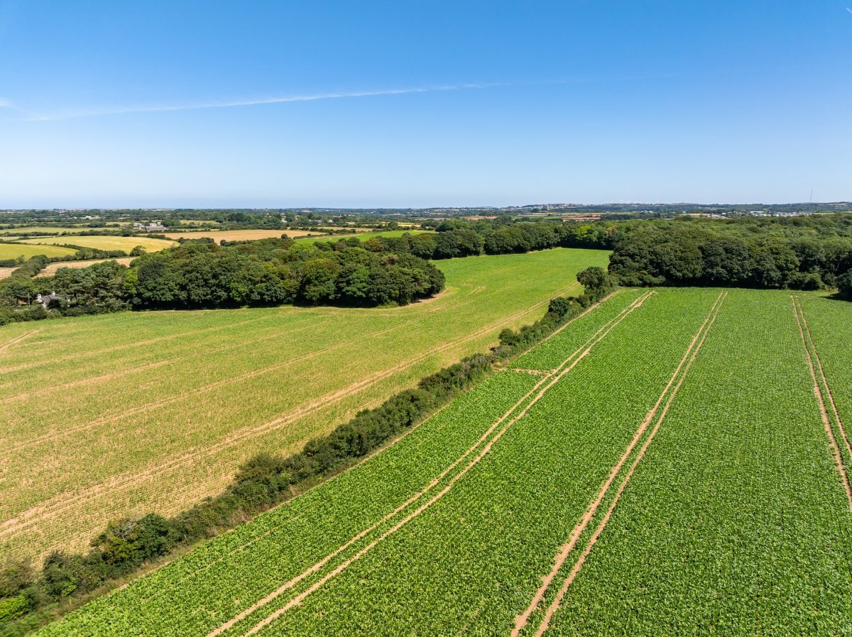 198  Land, Praze, Camborne, TR14 - Sold, Image 11