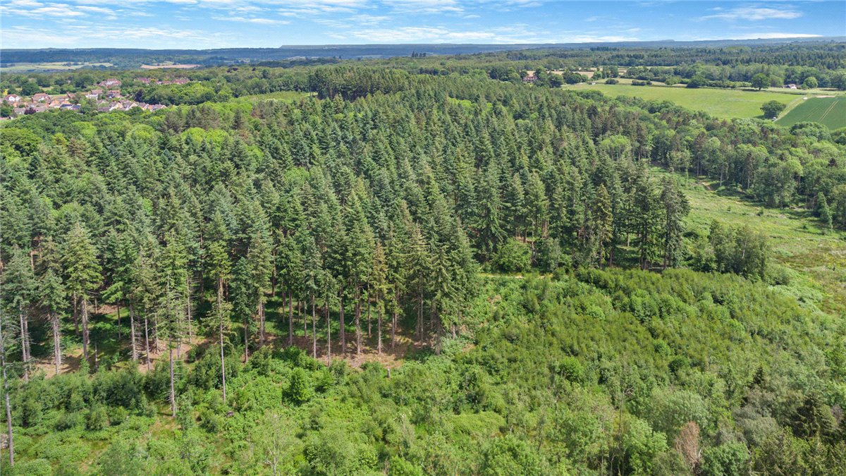 77.2  Land, Broad Lane, Upper Bucklebury, RG7 - Available, Image 4