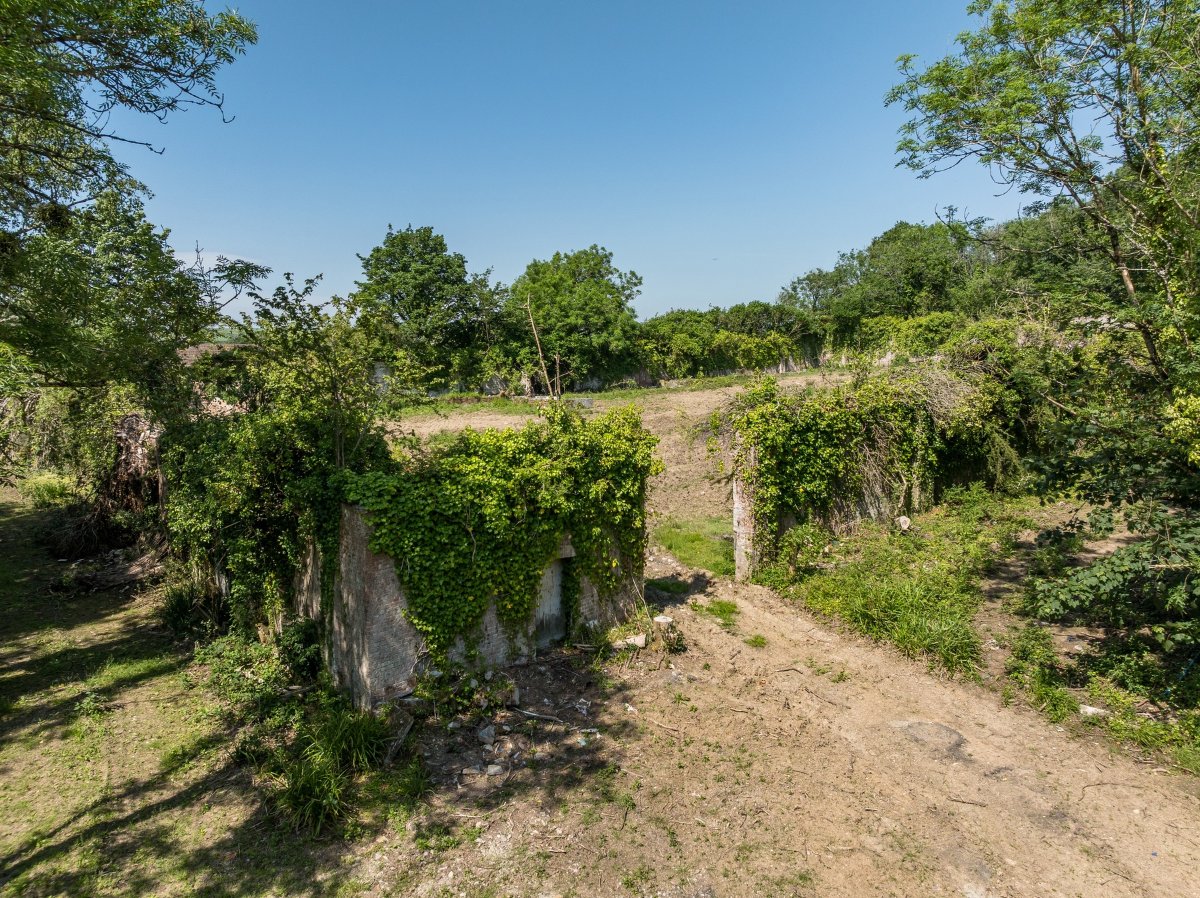   Land, Walled Garden & Woodland, Chyverton, TR4 - Sold STC, Image 6