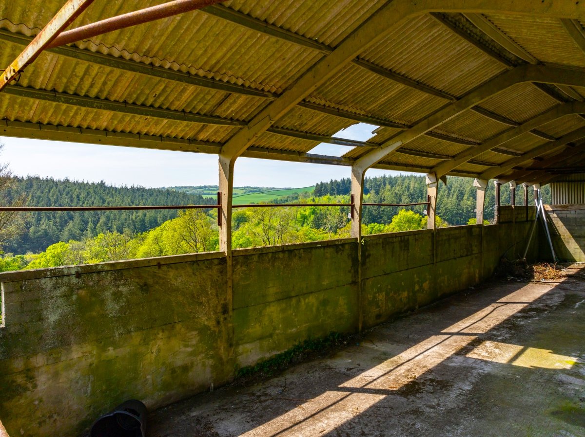 45.57  Farm, Golberdon, Callington, PL17 - Sold, Image 14