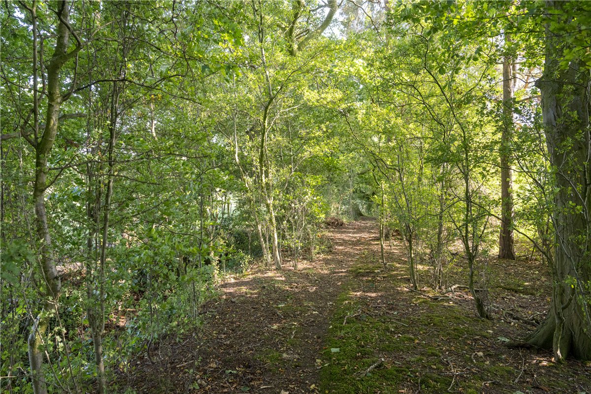 6 bedroom House, Near Bishop Monkton, North Yorkshire, HG4 - Sold, Image 4