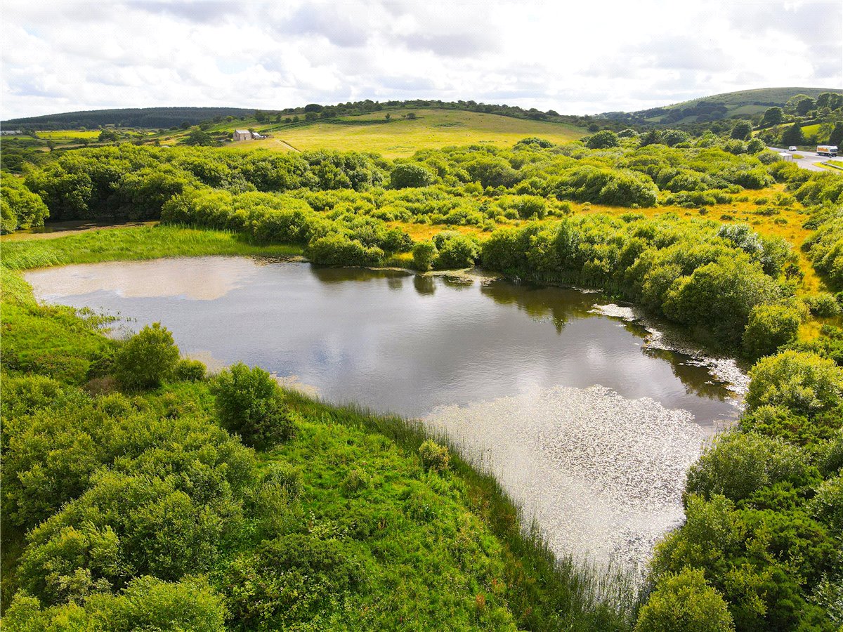 16.98  Land, Trewint, Altarnun, PL15 - Sold, Image 3