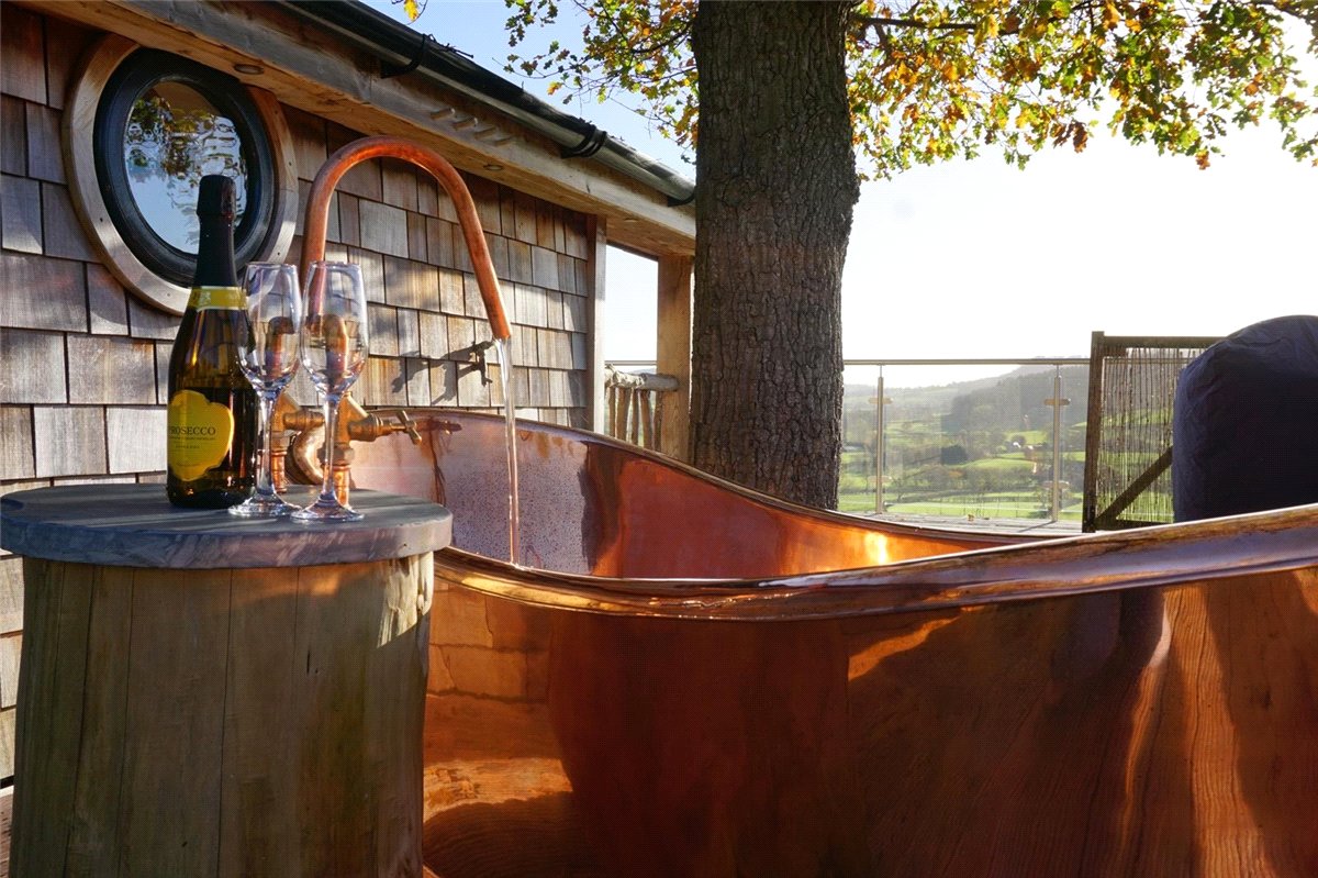   Land, Llangyniew, Welshpool, SY21 - Available, Image 2