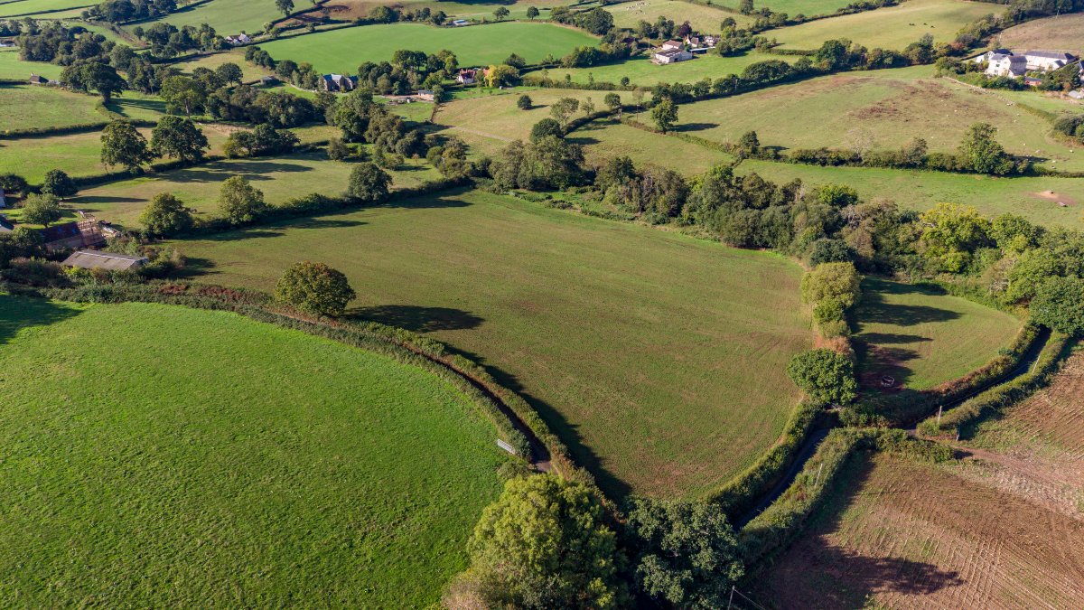 7.86  Land, Lot 4, Land At Stockers Farm, Northleigh, EX24 - Available, Image 1
