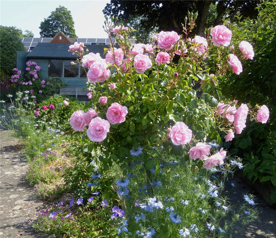 5 bedroom House, Netherton Road, Appleton, OX13 - Sold, Image 6