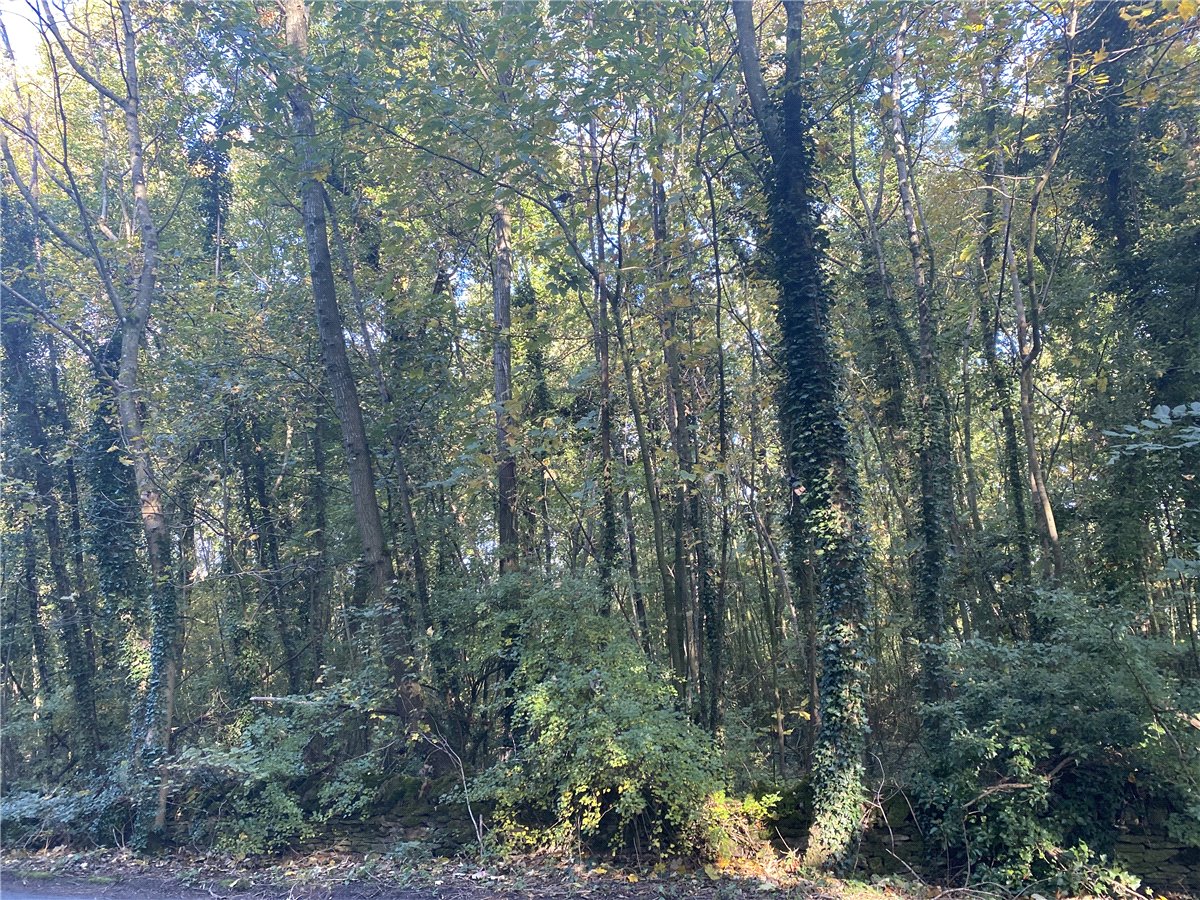 9.41  Land, Upper Castle Combe, Chippenham, SN14 - Sold