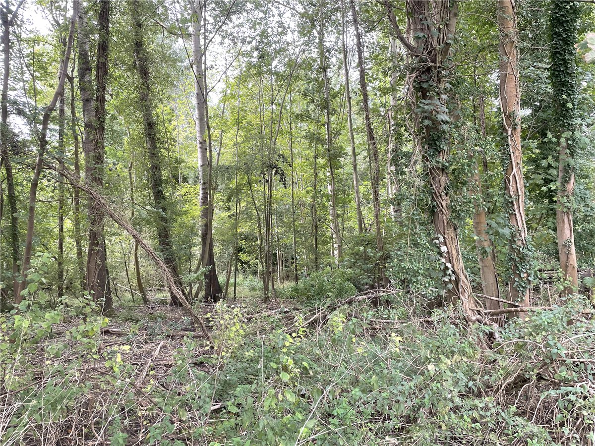 3.84  Land, Whittlesford, South Cambridgeshire, CB22 - Available, Image 1