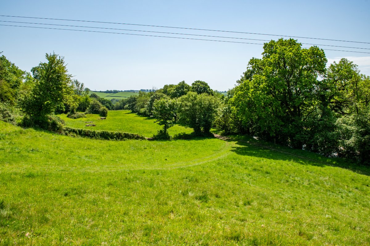 48.58  Development Land, Lot 3: Land and Building Plot, Perry Farm, TA22 - Available