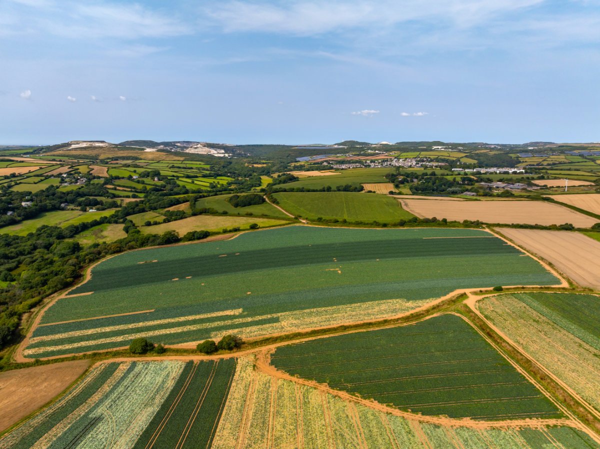 49.79  Land, Land At Resugga Farm, St. Stephen, PL26 - Sold STC, Image 10