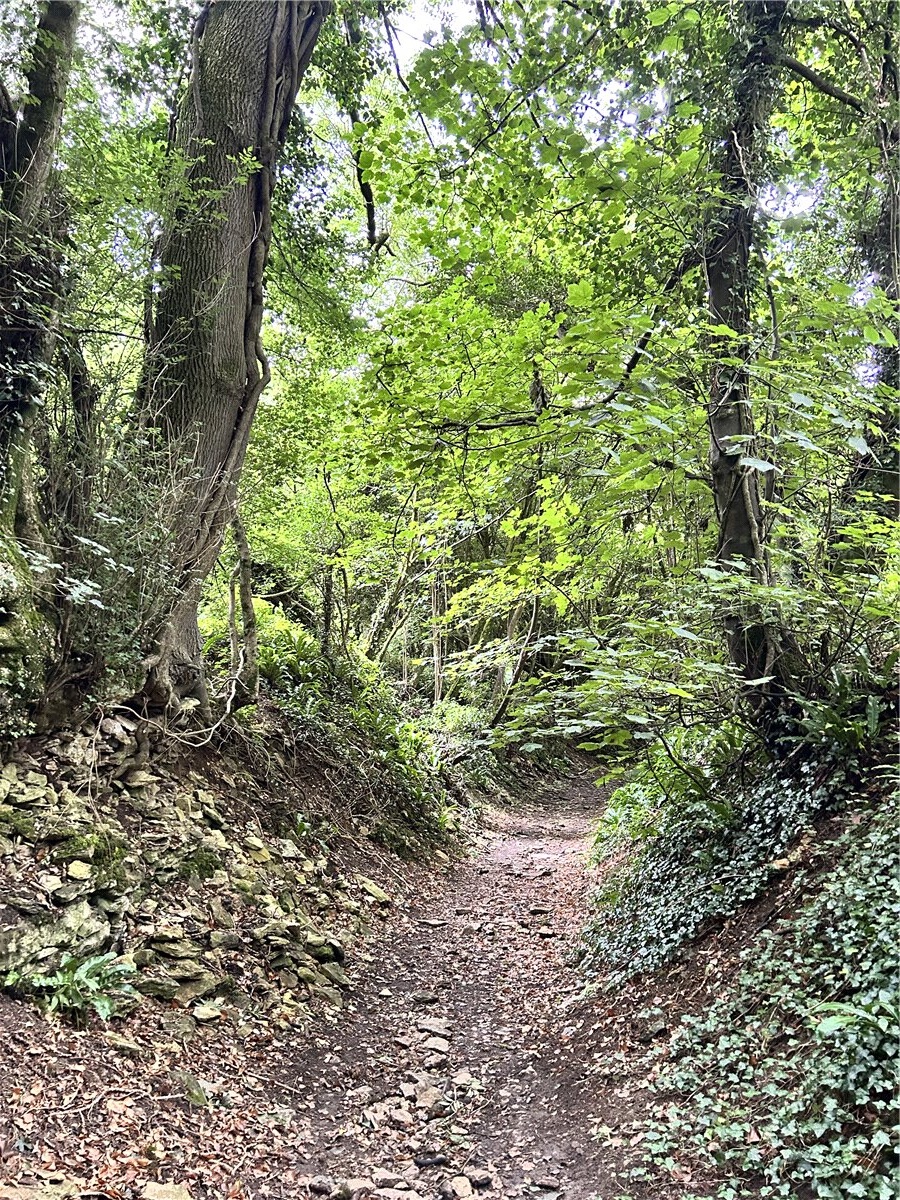 50.31  Land, The Street, Castle Combe, SN14 - Sold, Image 1