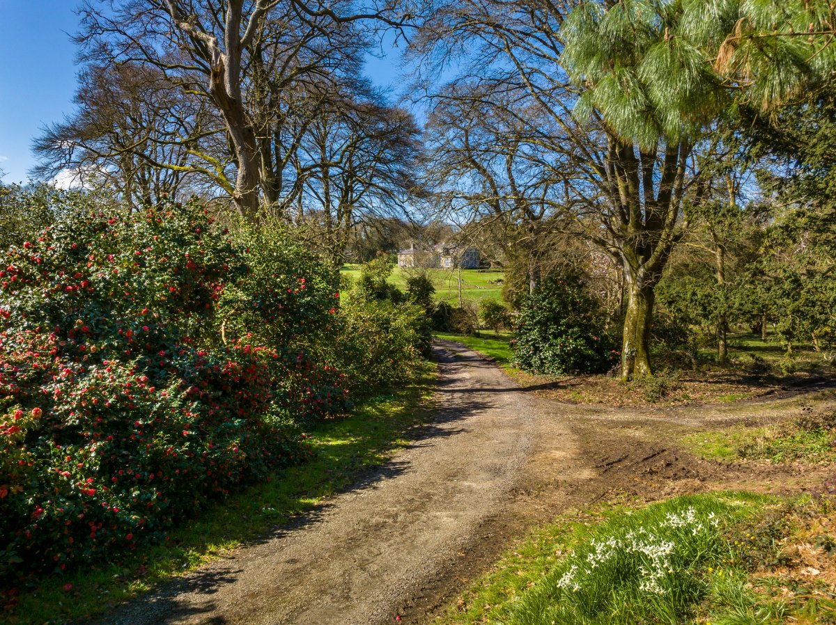 60.41  House, Zelah, Truro, TR4 - Sold, Image 19