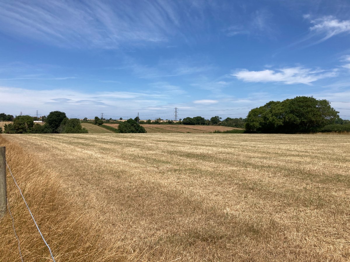 3.09  Land, Lot 2: Land At Goathurst, Goathurst, TA5 - Sold, Image 2