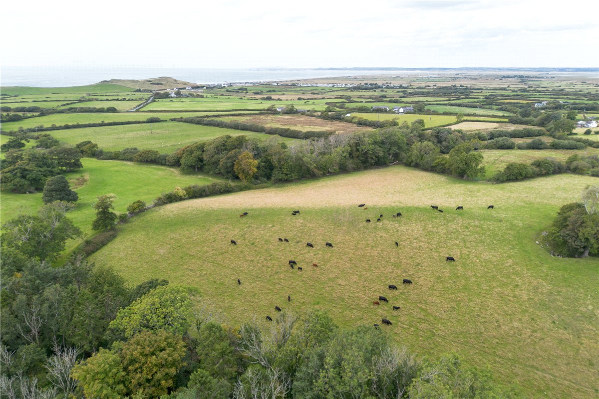 180  Land, Llandwrog, Caernarfon, LL54 - Available, Image 9