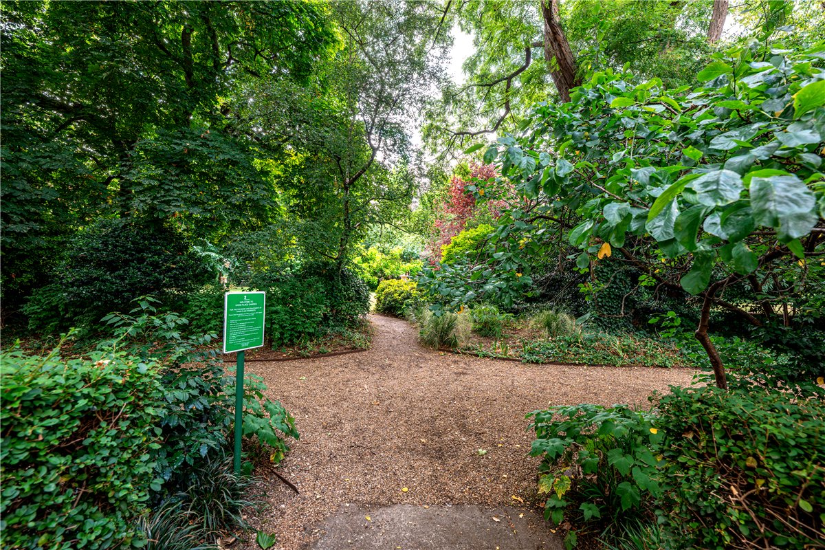 3 bedroom Flat, Hans Place, Chelsea, SW1X - Sold, Image 3