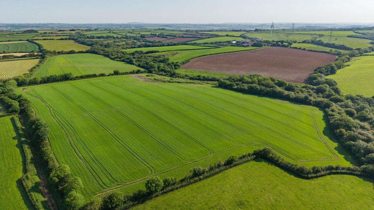 219.96  Farm, Holsworthy Beacon, Holsworthy, EX22 - Available, Image 2
