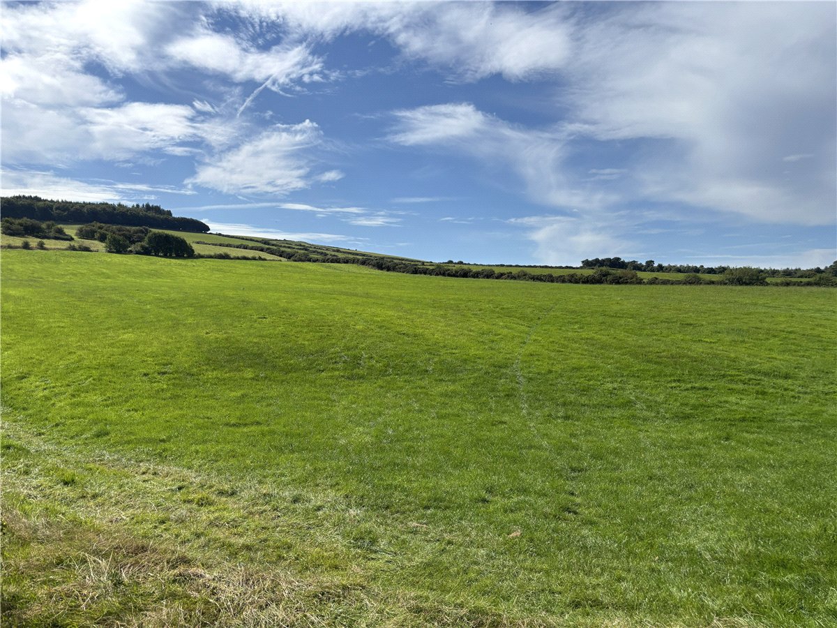   Farm, Lot 4 - Prospect Farm, Cockermouth, CA13 - Available