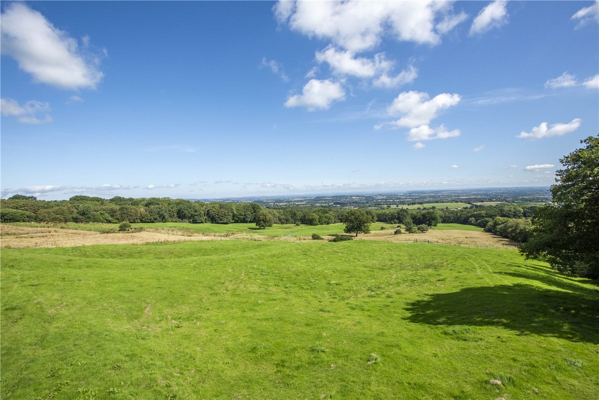 227  Farm, Buckland St. Mary, Chard, TA20 - Available, Image 12