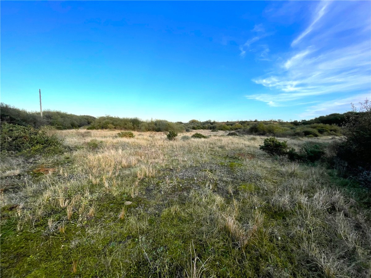 16.98  Land, Trewint, Altarnun, PL15 - Sold, Image 14